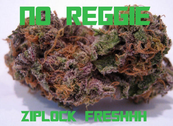 NoReggie @Ziplock_Freshhh - 420 Freestyle X No Reggie  