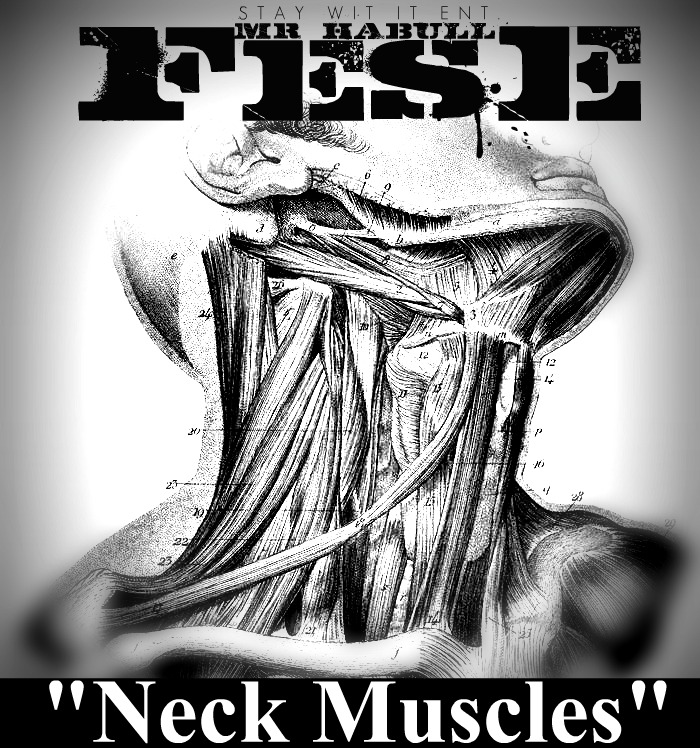 NECK-PROMO Fese (@Mrhabull) - Neck Muscles (Prod. by Custom)  