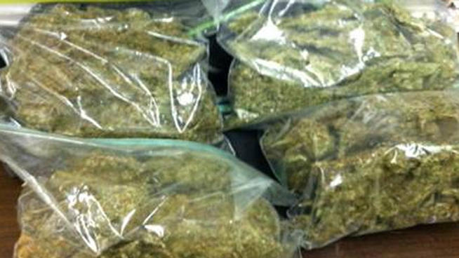 3-Pounds-of-Pot-Found-in-Ca Over 3 Pounds of Pot Found in Car in Delaware 12/10/11  