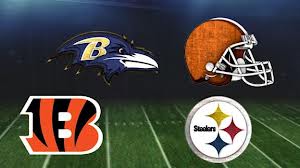 cover1 2012 AFC North Preview And Predictions 