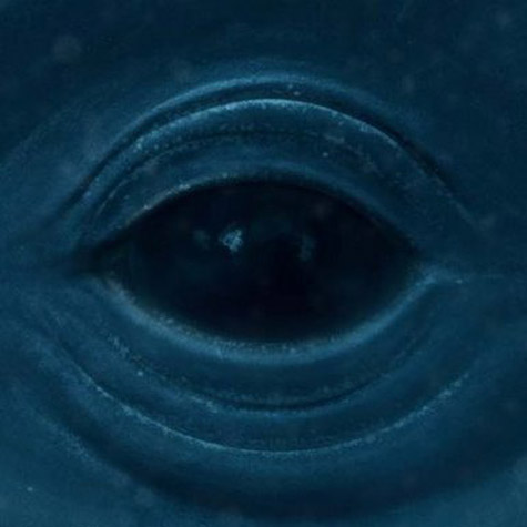 frank-ocean-blue-whale-HHS1987-2012 Frank Ocean - Blue Whale  