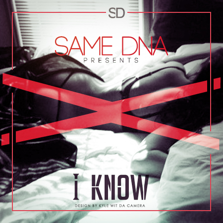 same-dna-i-know-HHS1987-2012 Same DNA (@SAME_DNA @ACESAMEDNA @WA_KING @THEREALMILSDE) - I Know  