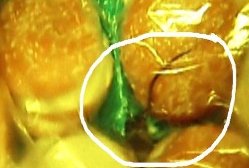 mouse Mouse Found in a Sealed Bag of McDonald's Buns at the Stenton Ave Phila, Pa Store (Video)  